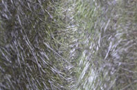 East Molesey fibreglass roof work